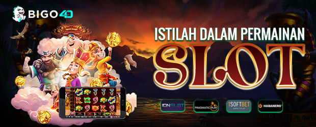 Dalam permainan game SLOT ONLINE anda pasti akan menemukan berbagai istilah didalamnya , untuk pemain pemula slot. Maka harus memahami pembahasan kami kali ini,