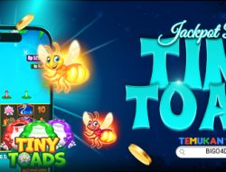 Jackpot pada Tiny Toads