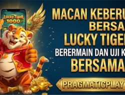 Lucky Tiger 1000